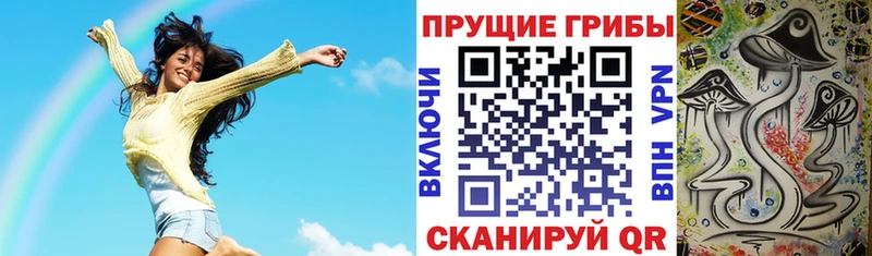 shop телеграм  Еманжелинск  Галлюциногенные грибы Cubensis  даркнет сайт 